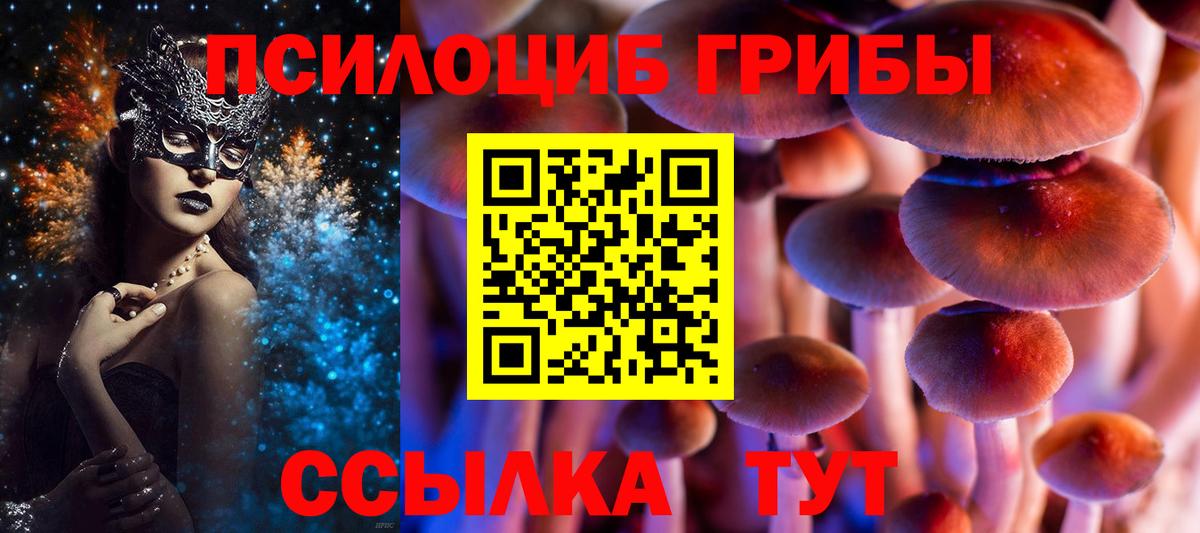 Псилоцибиновые грибы мухоморы Бердск